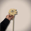 Chrysanthème